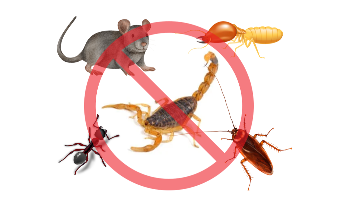 Pragas Urbanas no Verão